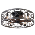 20-Inch Flush Mount Caged Ceiling Fan with Light and 6 Speed Remote