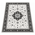 Washable 8 x 10 ft Area Rug with Soft Surface TPR Floor Backing